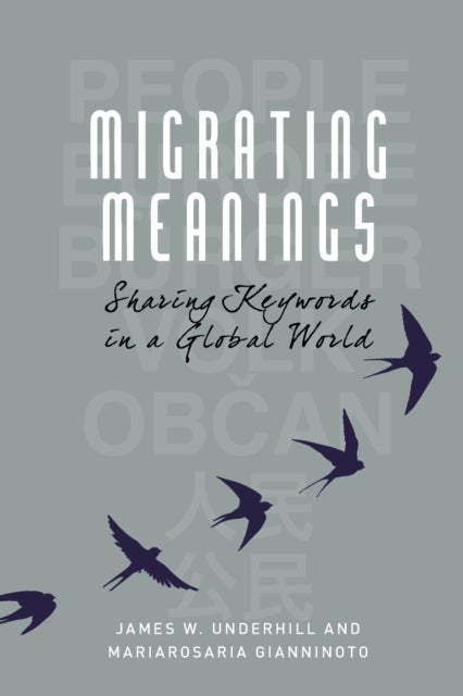 Bilde av Migrating Meanings Av James W. Underhill, Mariarosaria Gianninoto