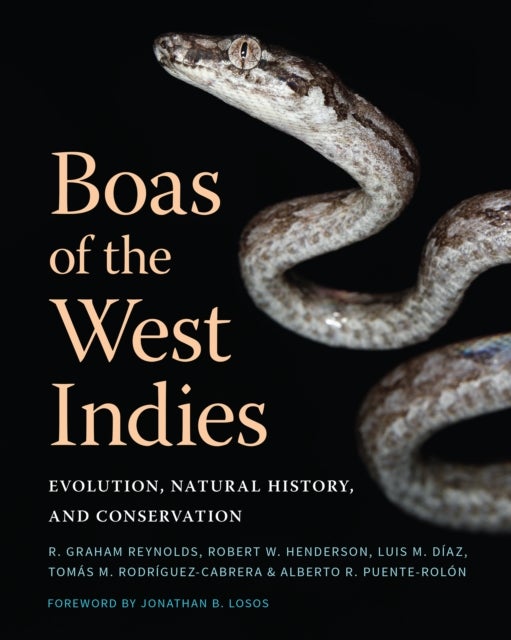 Bilde av Boas Of The West Indies Av R. Graham Reynolds, Robert W. Henderson, L Diaz