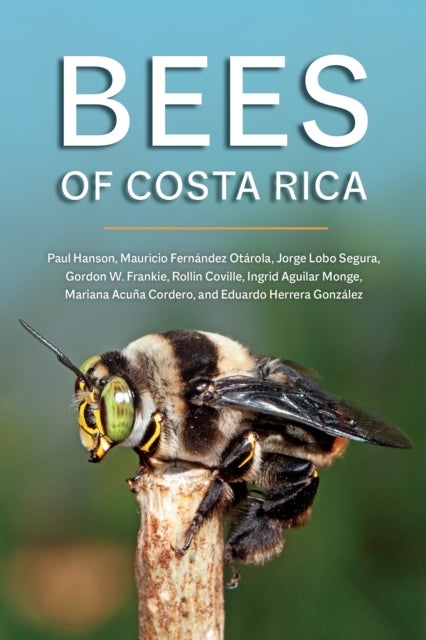 Bilde av Bees Of Costa Rica Av Paul Hanson, Mauricio Fernandez Otarola, Jorge Lobo Segura, Gordon W. Frankie, Rollin Coville, Ingrid Aguilar Monge, Mariana Acu