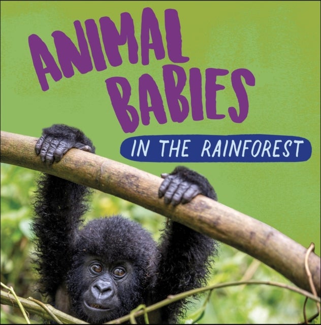 Bilde av Animal Babies: In The Rainforest Av Sarah Ridley