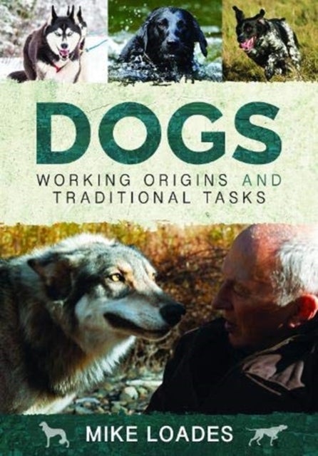 Bilde av Dogs: Working Origins And Traditional Tasks Av Mike Loades