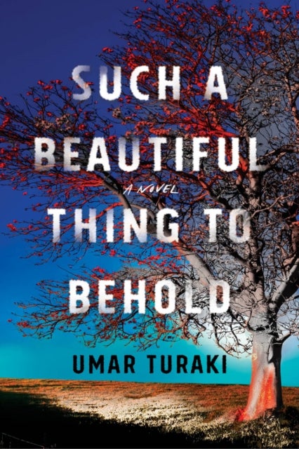 Bilde av Such A Beautiful Thing To Behold Av Umar Turaki