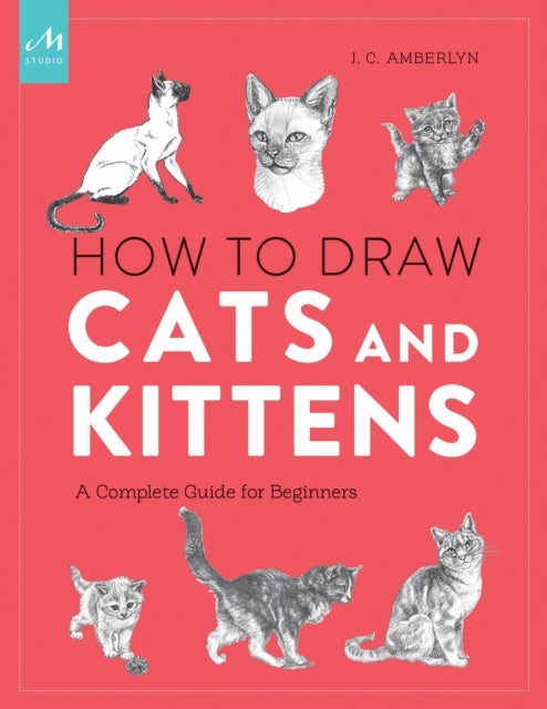 Bilde av How To Draw Cats And Kittens Av J.c. Amberlyn