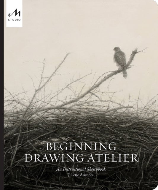 Bilde av Beginning Drawing Atelier Av Juliette Aristides