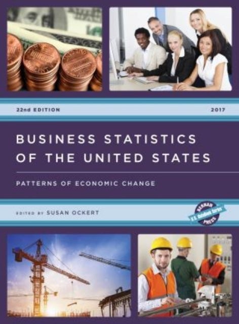 Bilde av Business Statistics Of The United States 2017