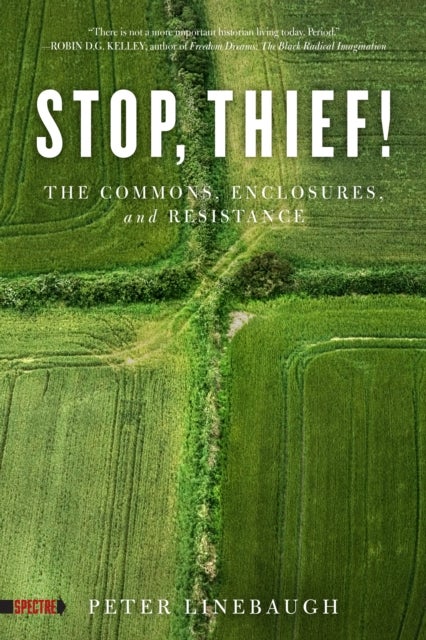 Bilde av Stop, Thief! Av Peter Linebaugh