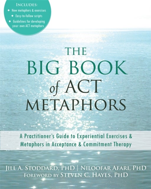 Bilde av The Big Book Of Act Metaphors Av Jill A. Stoddard, Niloofar Afari