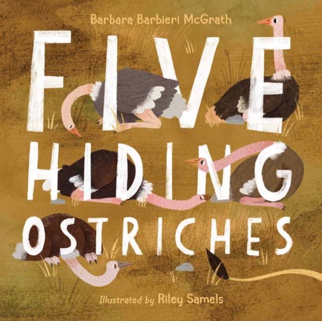 Bilde av Five Hiding Ostriches Av Barbara Barbieri Mcgrath, Riley Samel