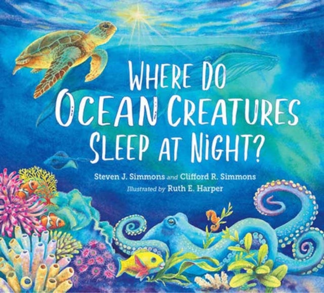 Bilde av Where Do Ocean Creatures Sleep At Night? Av Steven J. Simmons, Clifford R. Simmons