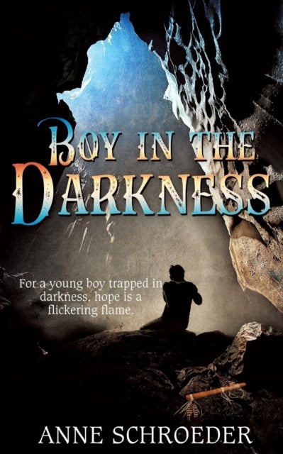 Bilde av Boy In The Darkness Av Anne Schroeder