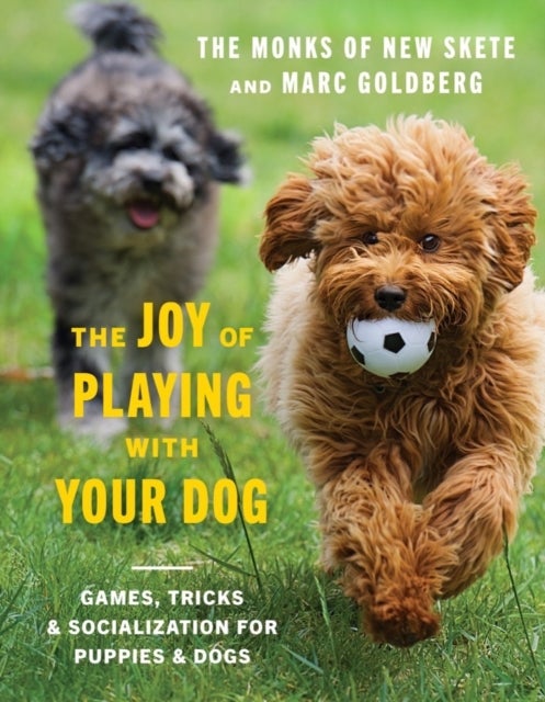 Bilde av The Joy Of Playing With Your Dog Av Monks Of New Skete, Marc Goldberg