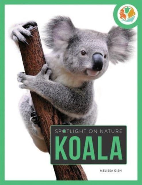 Bilde av Spotlight On Nature: Koala Av Melissa Gah