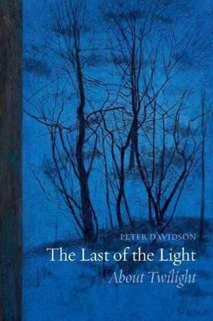 Bilde av The Last Of The Light Av Peter Davidson