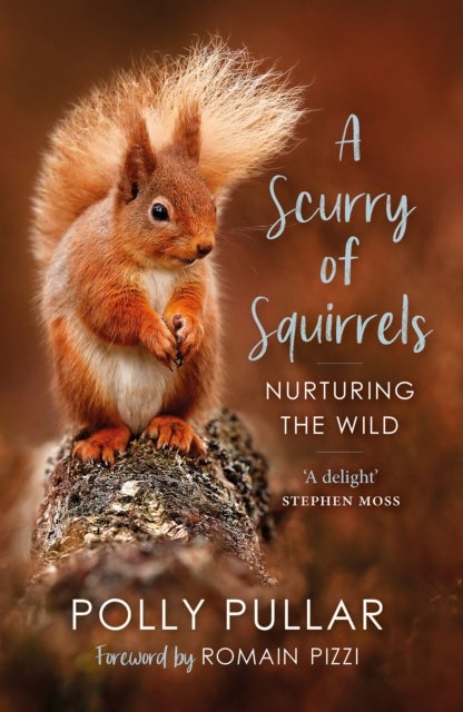 Bilde av A Scurry Of Squirrels Av Polly Pullar