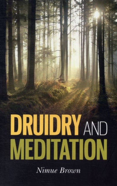 Bilde av Druidry And Meditation Av Nimue Brown