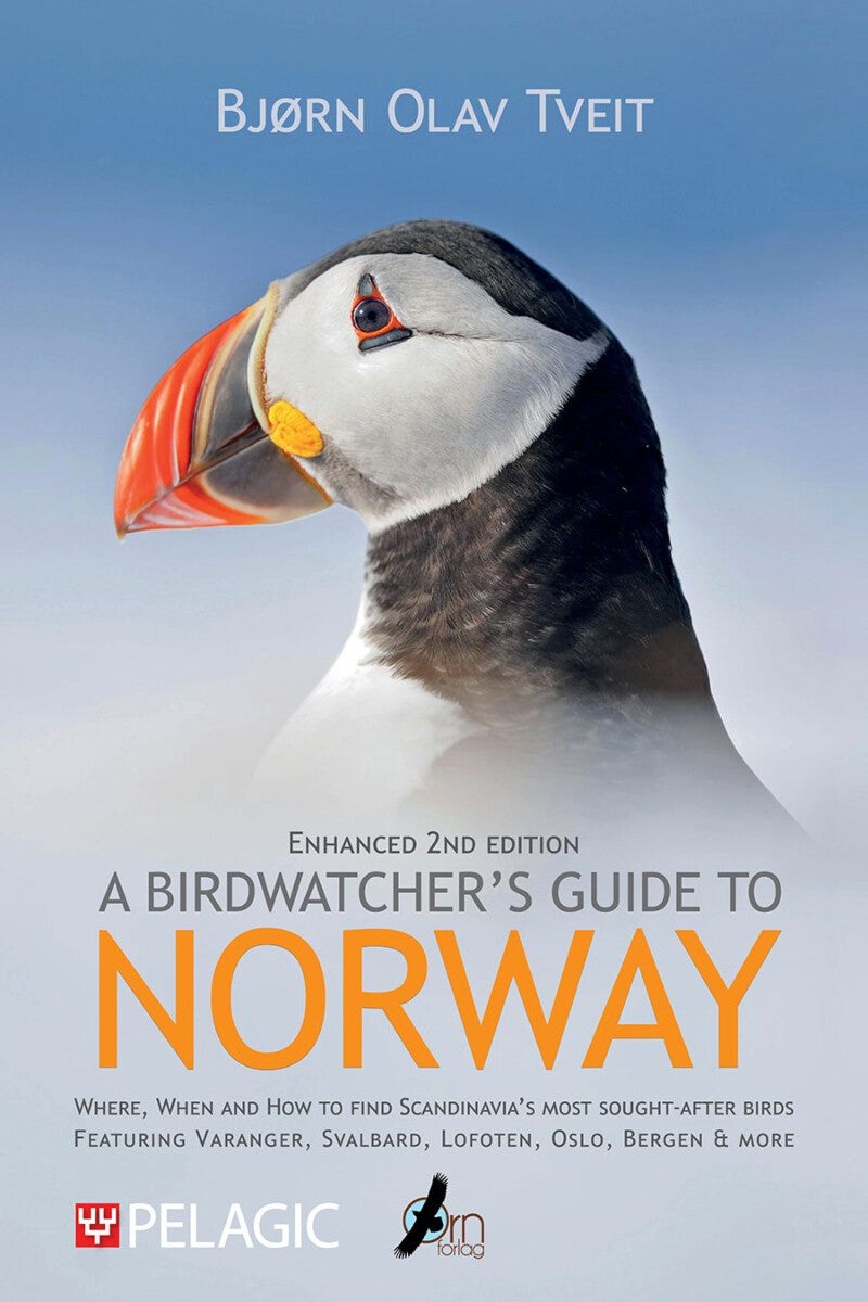 Bilde av A Birdwatcher&#039;s Guide To Norway Av Bjørn Olav Tveit