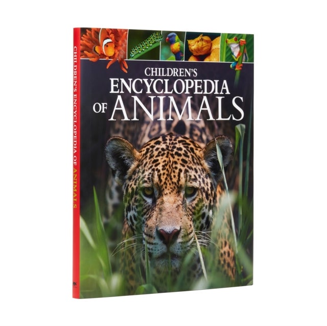 Bilde av Children&#039;s Encyclopedia Of Animals Av Dr Michael Leach, Dr Meriel Lland