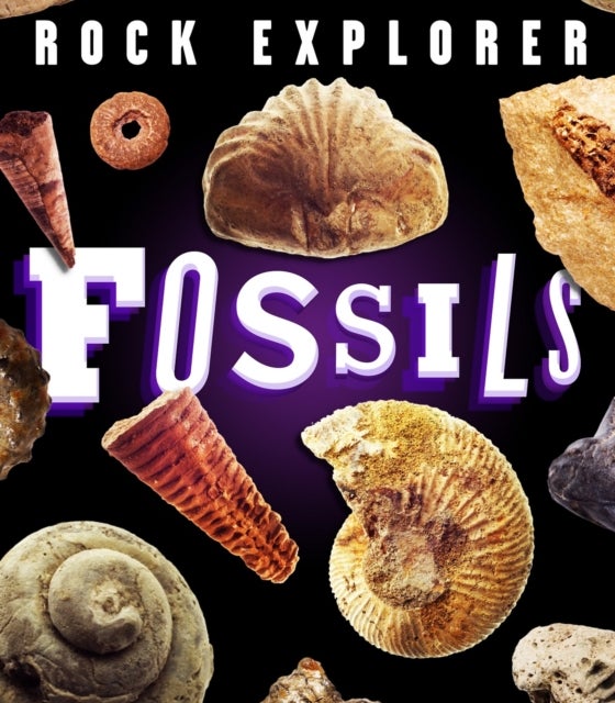 Bilde av Rock Explorer: Fossils Av Claudia Martin