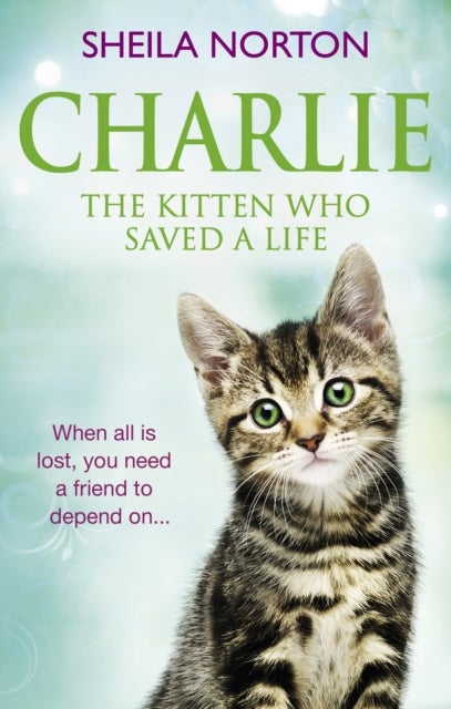 Bilde av Charlie The Kitten Who Saved A Life Av Sheila Norton