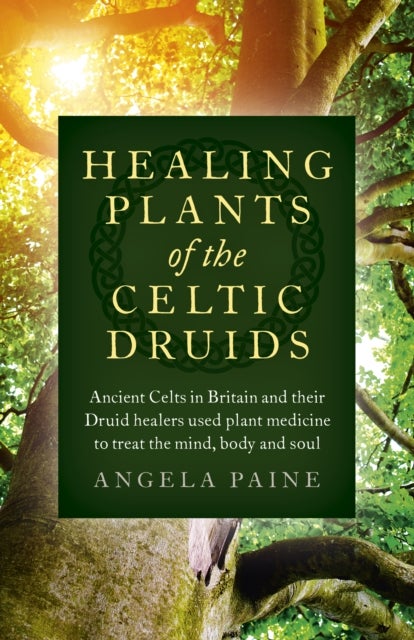 Bilde av Healing Plants Of The Celtic Druids - Ancient Celts In Britain And Their Druid Healers Used Plant Me Av Angela Paine