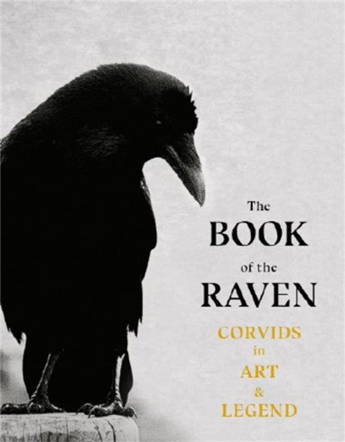Bilde av The Book Of The Raven Av Angus Hyland, Caroline Roberts
