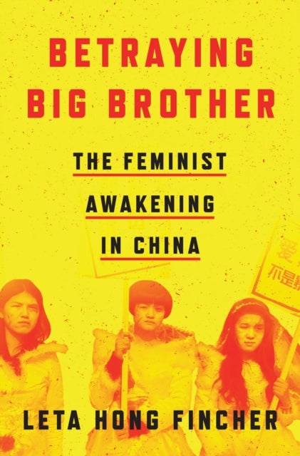 Bilde av Betraying Big Brother Av Leta Hong Fincher