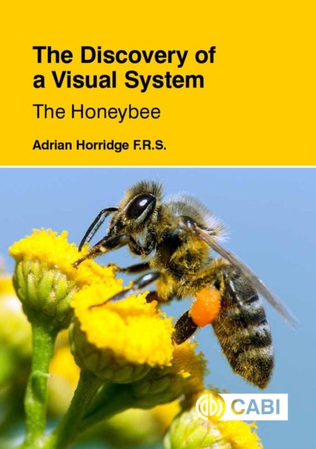 Bilde av Discovery Of A Visual System - The Honeybee, The Av Adrian (formerly Of The Australian National University Canberra) Horridge