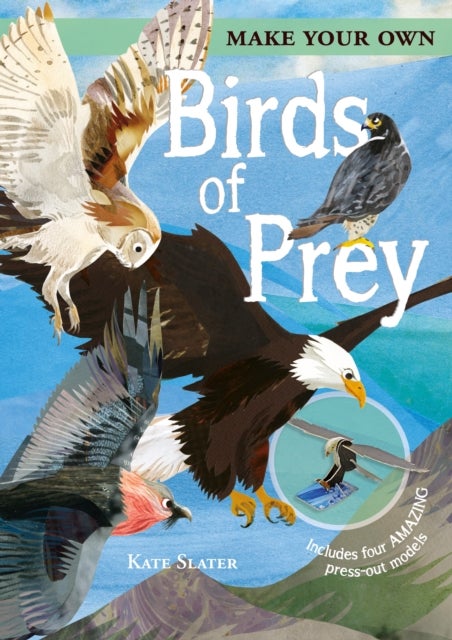 Bilde av Make Your Own Birds Of Prey Av Joe (author) Fullman
