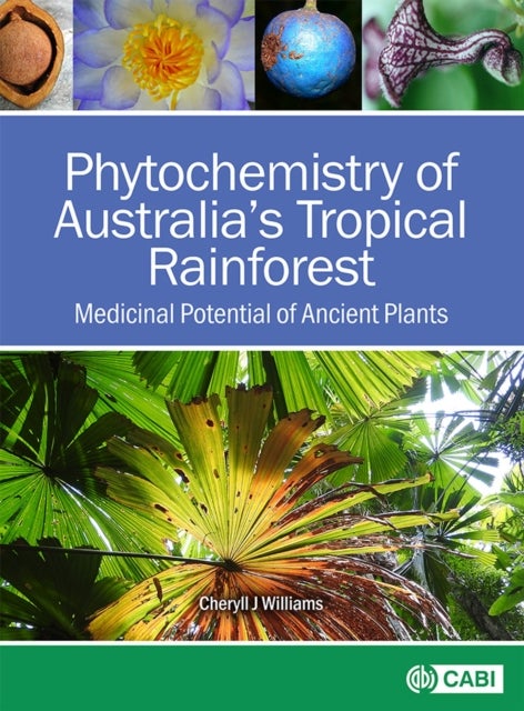 Bilde av Phytochemistry Of Australia&#039;s Tropical Rainforest Av Dr Cheryll J Williams