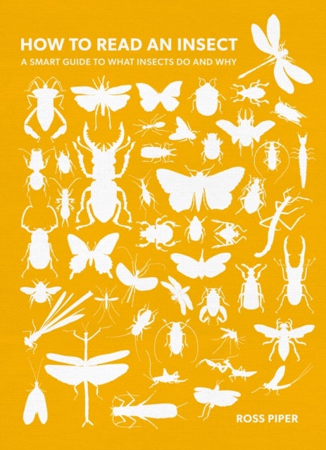 Bilde av How To Read An Insect Av Dr Ross Piper