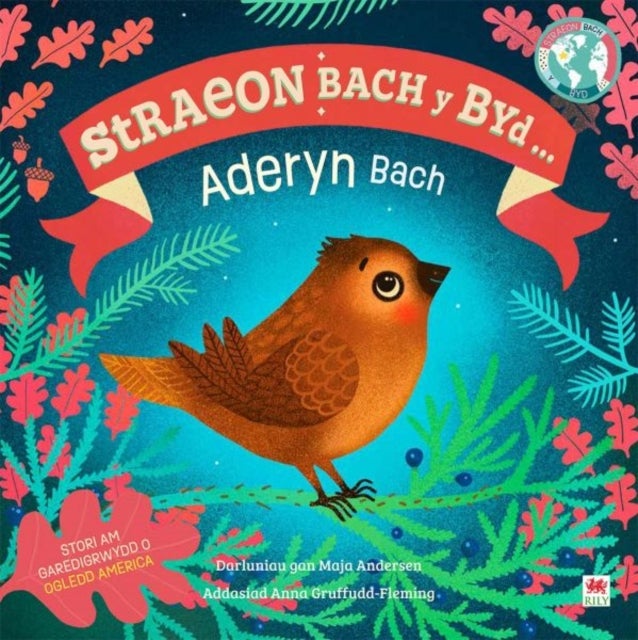 Bilde av Aderyn Bach, Yr / Little Bird, The (cyfres Straeon Bach Y Byd) Av Dk