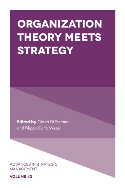 Bilde av Organization Theory Meets Strategy