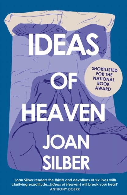 Bilde av Ideas Of Heaven Av Joan Silber