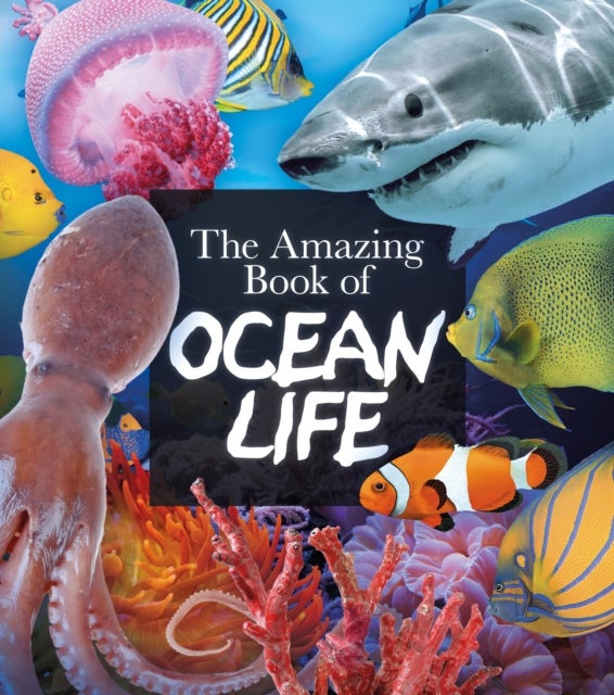 Bilde av The Amazing Book Of Ocean Life Av Claudia Martin