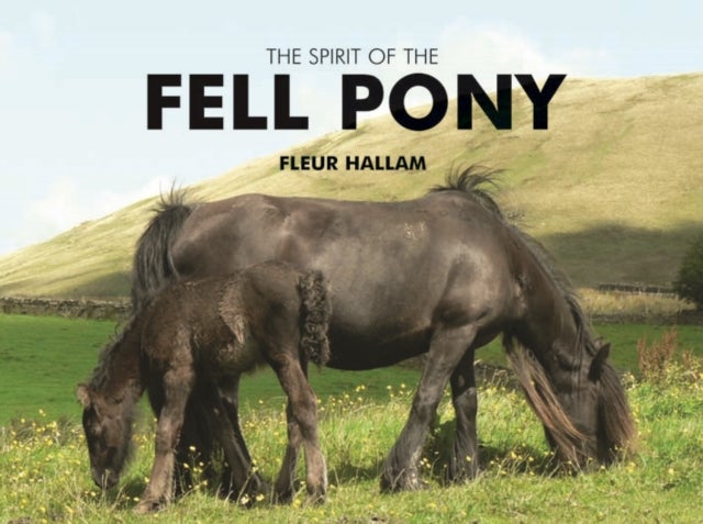 Bilde av The Spirit Of The Fell Pony Av Fleur Hallam