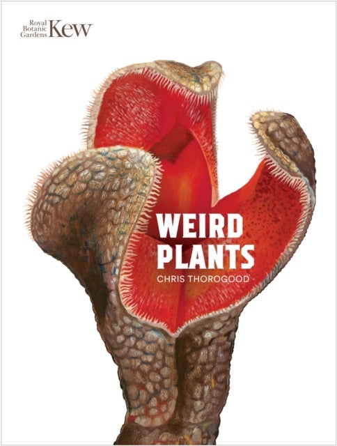 Bilde av Weird Plants Av Chris Thorogood
