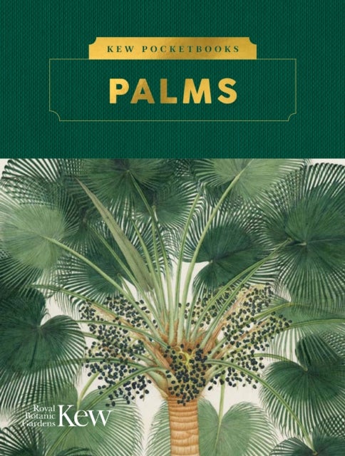 Bilde av Kew Pocketbooks: Palms Av Kew Royal Botanic Gardens