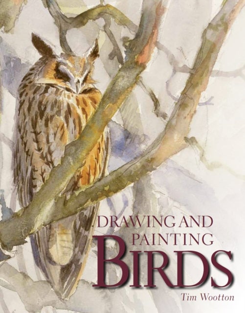 Bilde av Drawing And Painting Birds Av Tim Wootton