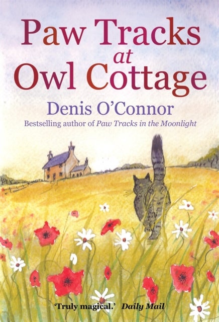 Bilde av Paw Tracks At Owl Cottage Av Denis John O&#039;connor