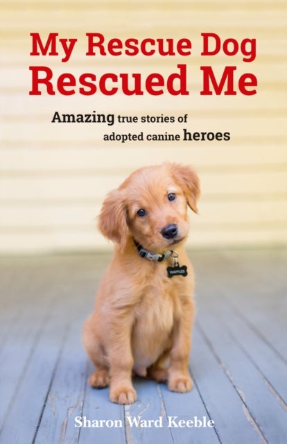 Bilde av My Rescue Dog Rescued Me Av Sharon Ward Keeble