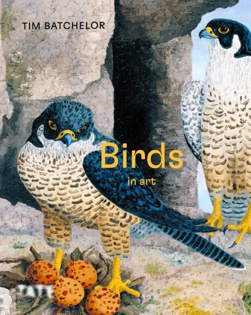 Bilde av Birds In Art Av Tim (assistant Curator Tate Britain) Batchelor