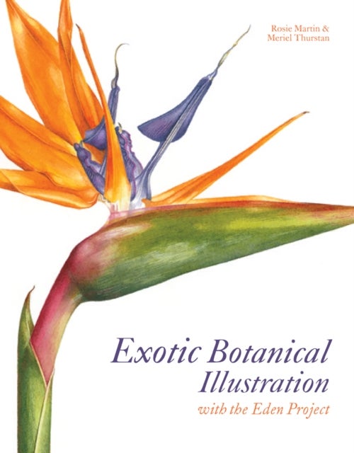 Bilde av Exotic Botanical Illustration Av Meriel Thurstan, Rosie Martin