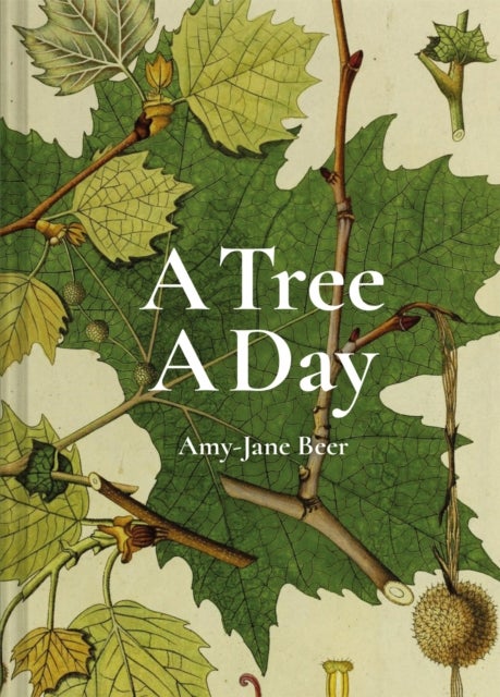 Bilde av A Tree A Day Av Amy-jane Beer