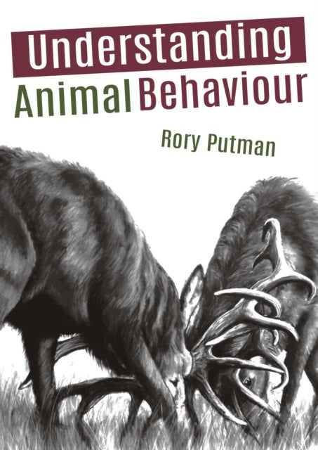 Bilde av Understanding Animal Behaviour Av Rory Putman