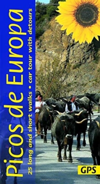 Bilde av Picos De Europa Guide: 25 Long And Short Walks With Detailed Maps And Gps; Car Tour With Pull-out Ma Av Teresa Farino