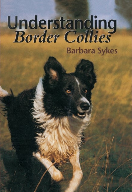 Bilde av Understanding Border Collies Av Barbara Sykes