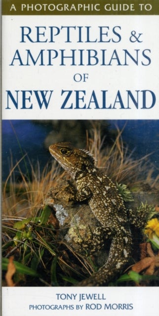 Bilde av Photographic Guide To Reptiles &amp; Amphibians Of New Zealand Av T Jewell &amp; R Morris