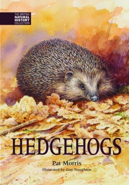 Bilde av Hedgehogs Av Pat Morris