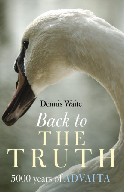 Bilde av Back To The Truth ¿ 5000 Years Of Advaita Av Dennis Waite