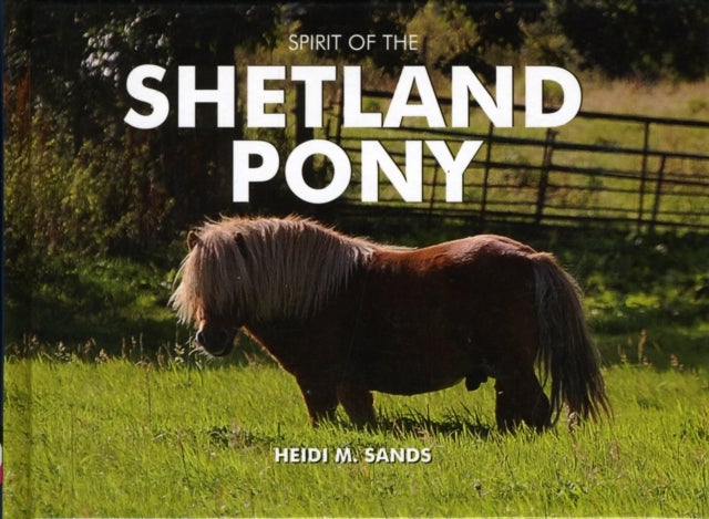 Bilde av Spirit Of The Shetland Pony Av Heidi M. Sands
